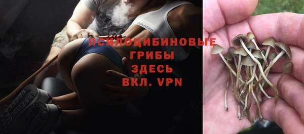 ALPHA-PVP Арсеньев