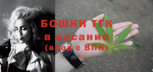 дживик Аркадак